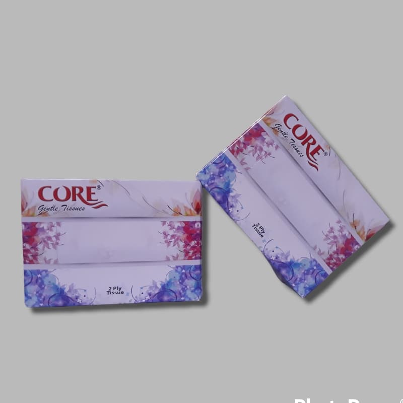 Gentle soft tissue 2ply